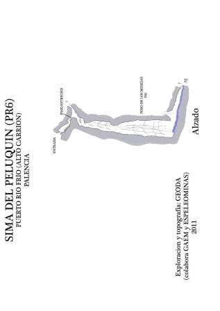 Sima del peluquin PR6