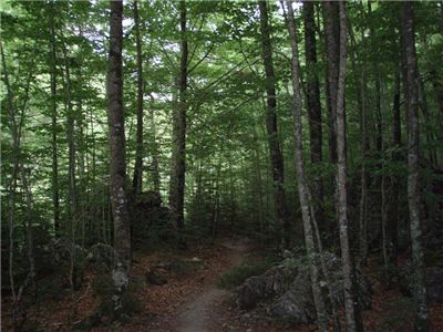 ORDESA Y MONTE PERDIDO AGOSTO 08 10